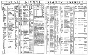 Linnaeus_-_Regnum_Animale_(1735)